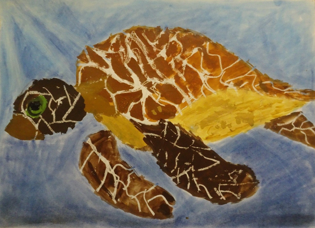 およげウミガメ