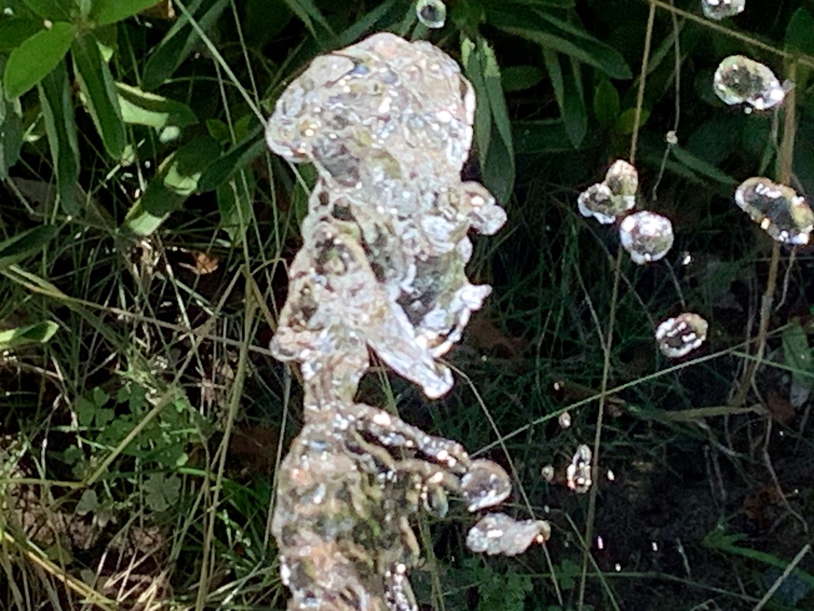 ウォーターボーイ(水の少年)