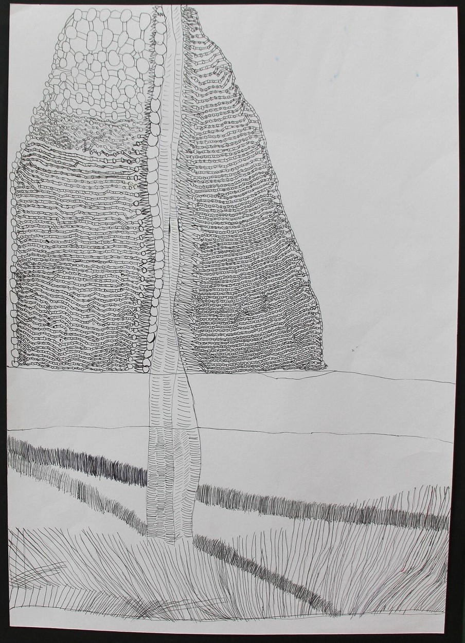 自然溢れる曇りの中の大きなゆりの木