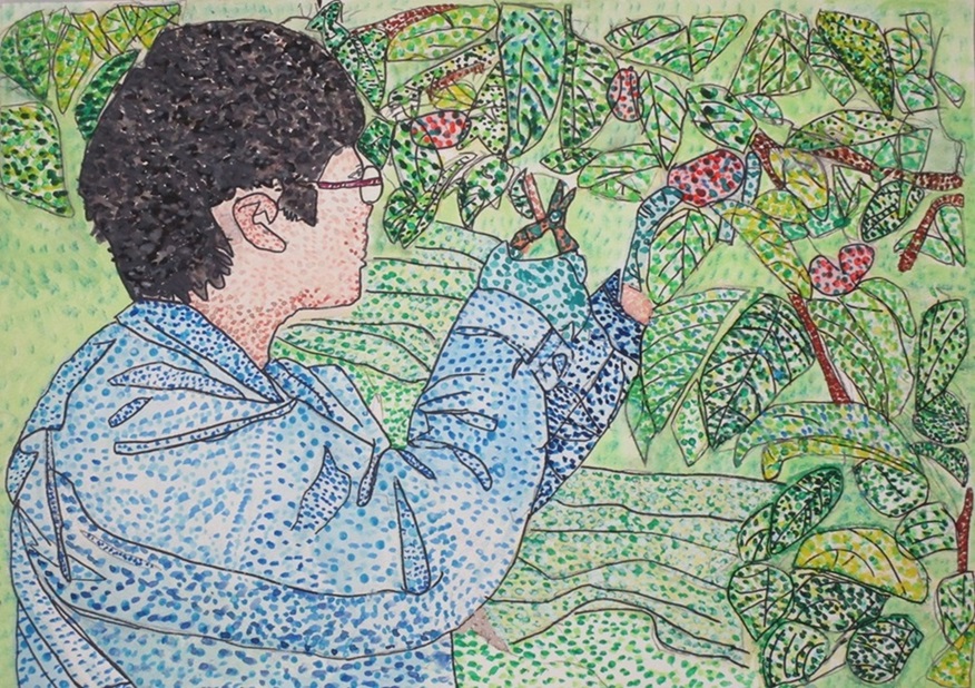 柿の収穫をする私