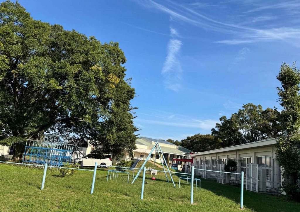 学校の中庭の公園です。