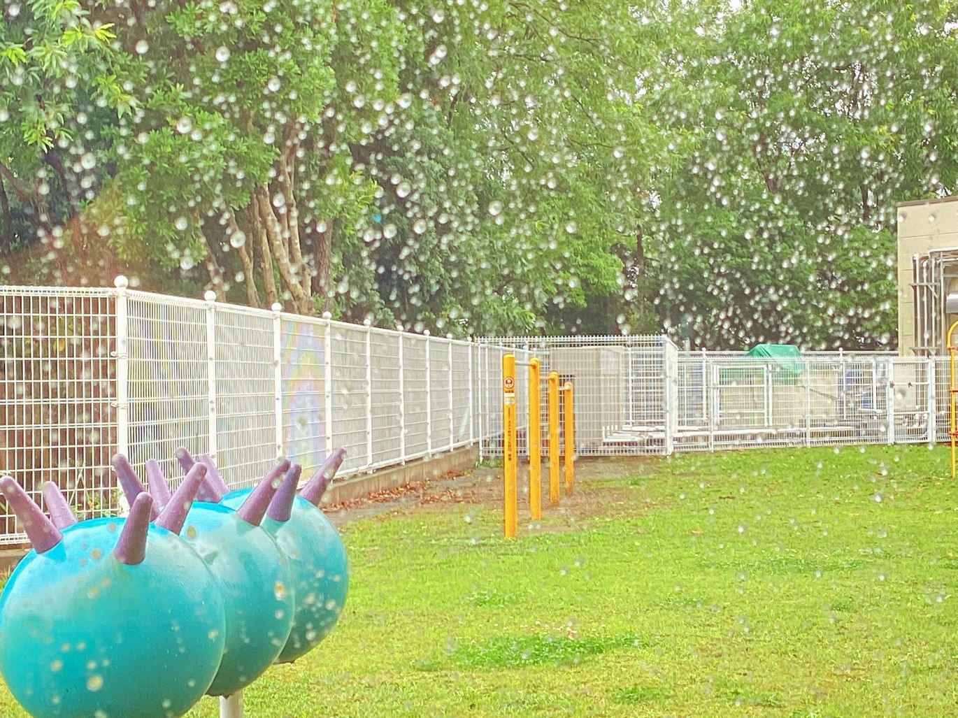 雨。たのしいな。