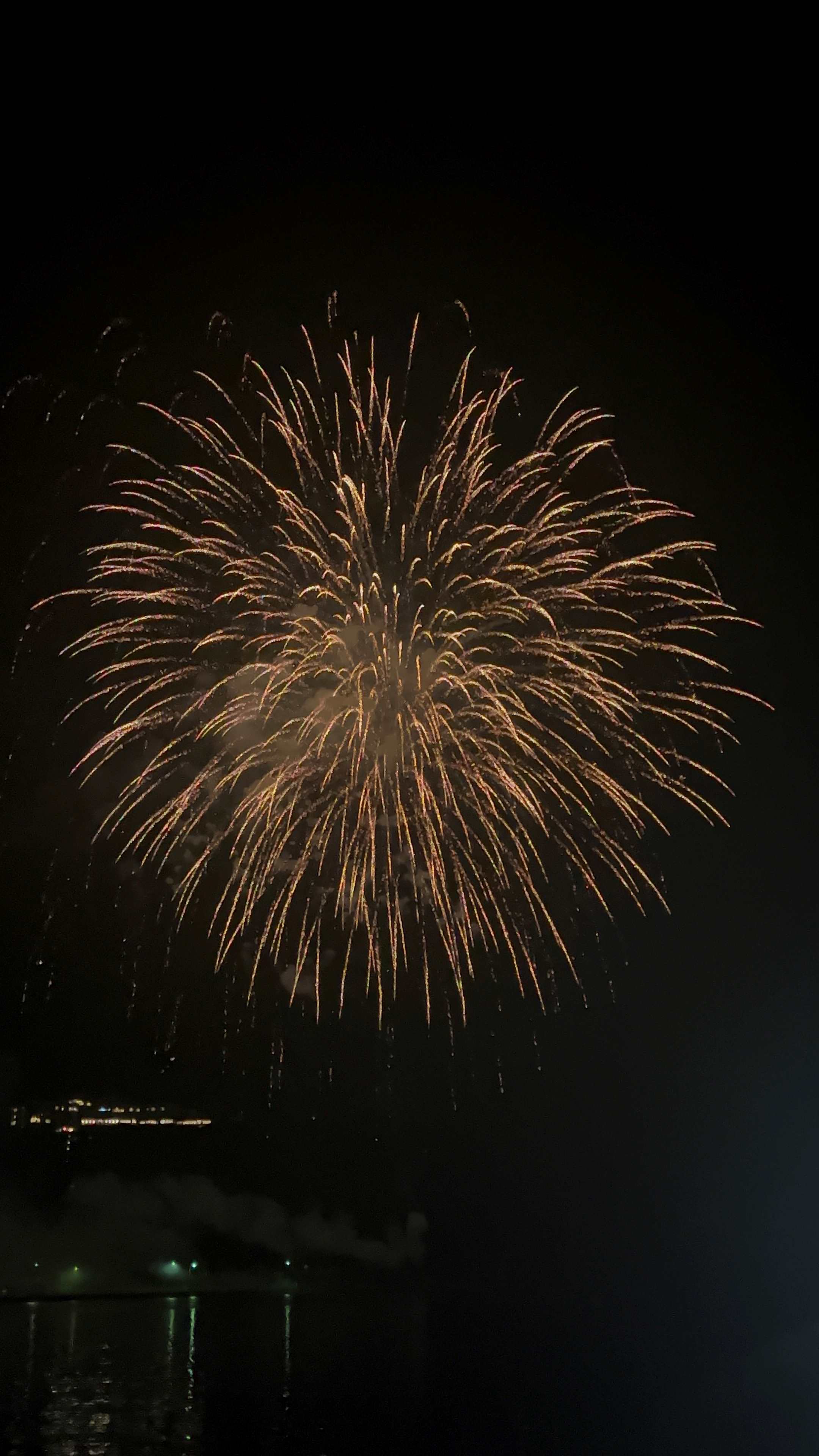 大きな音とともに咲いたひとつの花