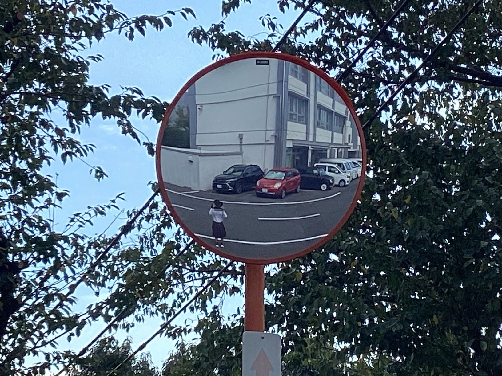 私の好きな光景