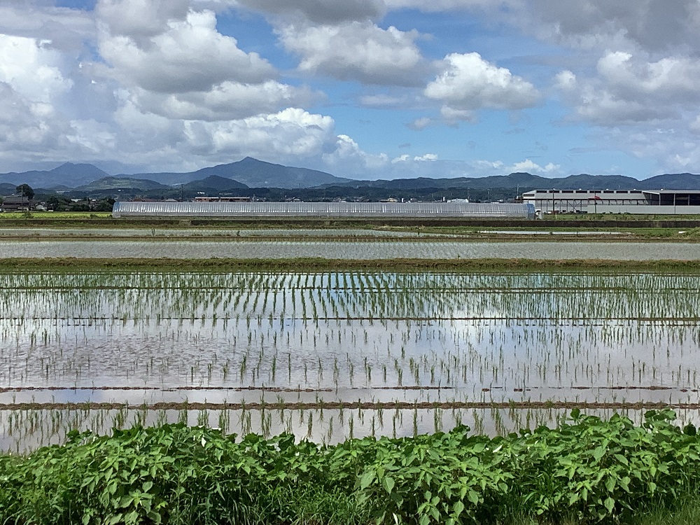 田んぼと山と空の景色